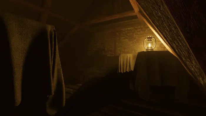 Spiders in the attic