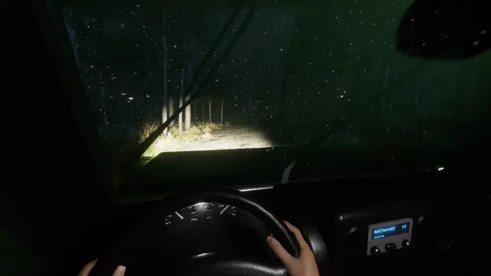 A car stranded in the stormy forest